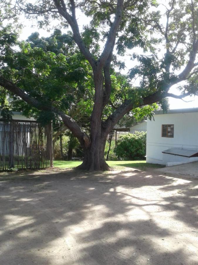 Ferienwohnung Woodpecker Plettenberg Bay Exterior foto